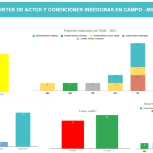 Dashboard de Reportabilidad SSOMA
