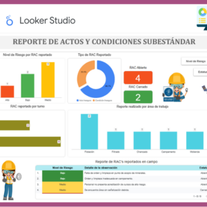 Dashboard | Reportes Safety