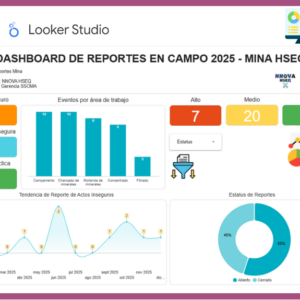 Dashboard | Accidentes HSE