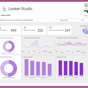 Dashboard | Reportes QHS